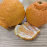 你那里水果价格还好吗