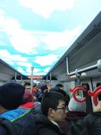 12月29日小确幸