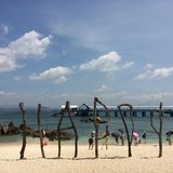 #早安，晨型人#6月13日打卡专贴