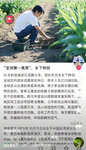 金城武种田，吴彦祖教英语
