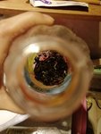 Get新技能泡豆芽