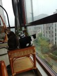 晨跑改为晨读