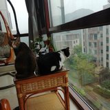 晨跑改为晨读