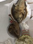 自律晚餐打卡2