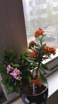 春暖花开啦