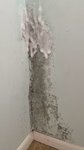 墙壁除霉不累组合：花王除霉剂+魔术擦