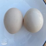 21天减脂餐打卡，Day12蛋断日➖3.2斤