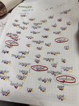 2025暑假小结：准初三、四升五