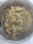 2023.11.25  休息在家，＃带饭有奖