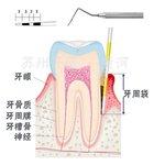 为健康投资: 从关爱口腔做起