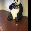 一只蜗牛的存钱日记