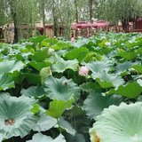 休息日7.11