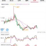 准备入手油气