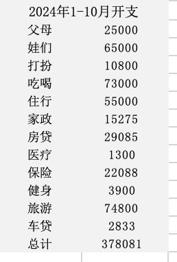 2024年1-10月开支总结