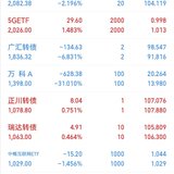 2023年29周：净值1.1016，0.99%