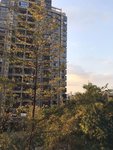 春天马上就要来了