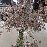 话题#晒晒母亲节礼物