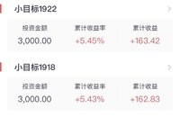 小目标