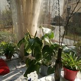 长的都不错