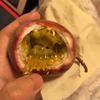 金牛小财迷