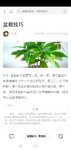 喜欢看别人家开花