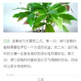 喜欢看别人家开花