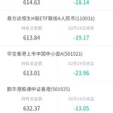 持有了港股股票基金