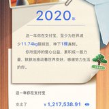 2020年支付宝支出了1217538.91元