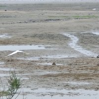 特种兵玩转京津冀二