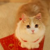 孩子生病住院