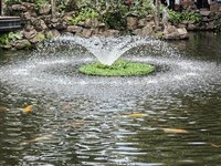 5.2，顺德逛吃之旅~