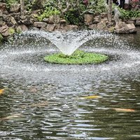 5.2，顺德逛吃之旅~