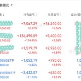 继续持股待涨 241105