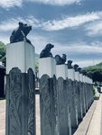 探访童夏村：生物学家童第周的家乡