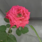 今日份小确幸多多