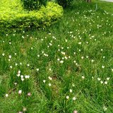 9月再见