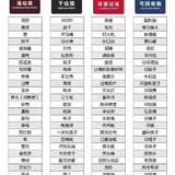 上海垃圾分类立法将于7月1日试行