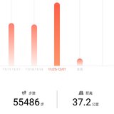 步数