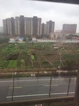 镜头下的家乡味道
