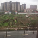 镜头下的家乡味道