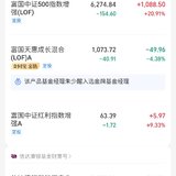 自选基金和小目标对比，结论