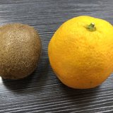 喝碗鸡汤，继续坚持
