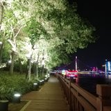 冷清的秋