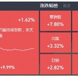 东数西算继续领涨，黄金、石油异动明显