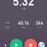 每日晨跑打卡70天—4.16