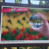 五一游记：五月下扬州