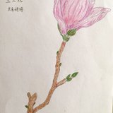 70后小资文青辣妈一枚，从零开始学画画！