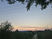 夕阳