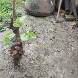 一起看看春天