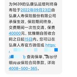 再次加仓金满意足